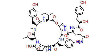 Aeruginopeptin 917S-A